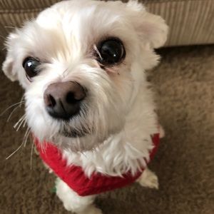 Meet your Posher, Todd